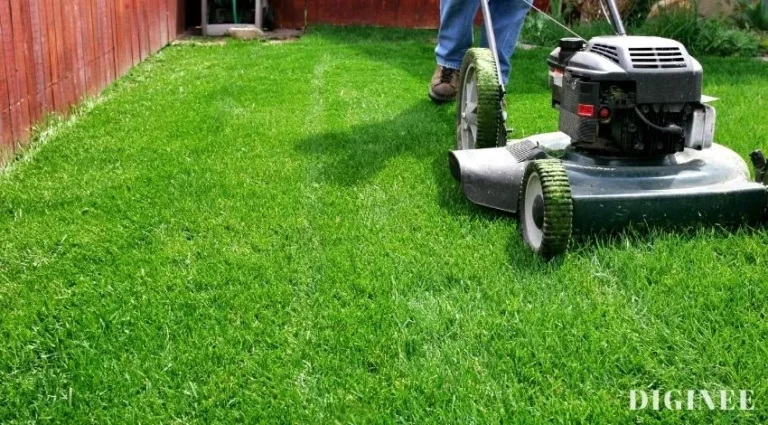 914 Best Lawn Care Business Names To Boost Sales [2024 Updated]