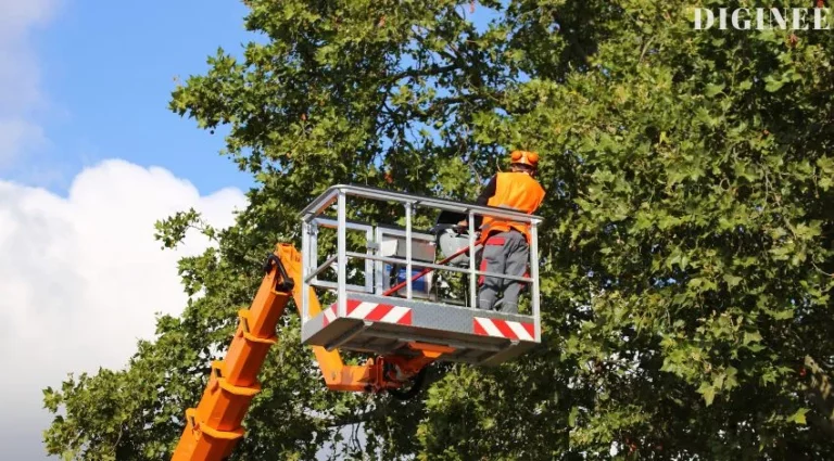 647 Catchy Tree service Team names Ideas To Attract [2023]