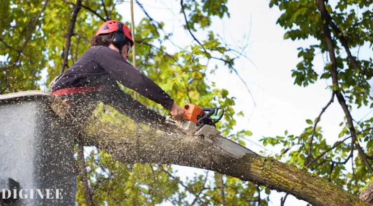 645 Best Tree service Youtube Channel names Idea [2024 Updated]